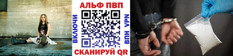 APVP СК Колпашево