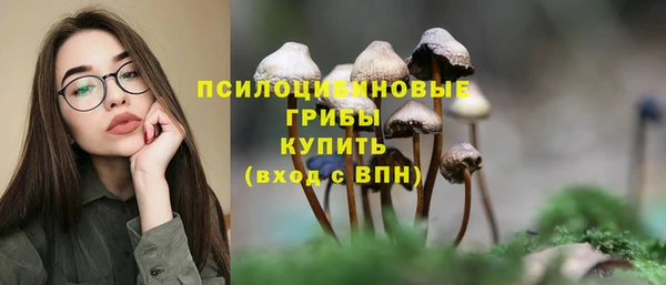 стафф Богородицк