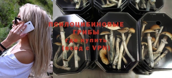 кокс Белокуриха