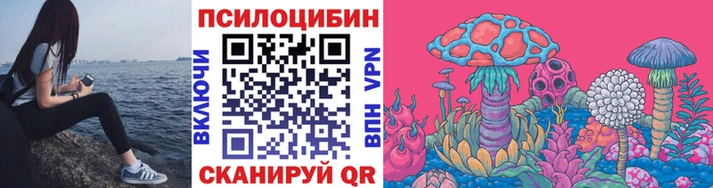 МЕГА ссылки  Колпашево  Псилоцибиновые грибы MAGIC MUSHROOMS  купить закладку 